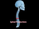 Spinal Productions LLC logo